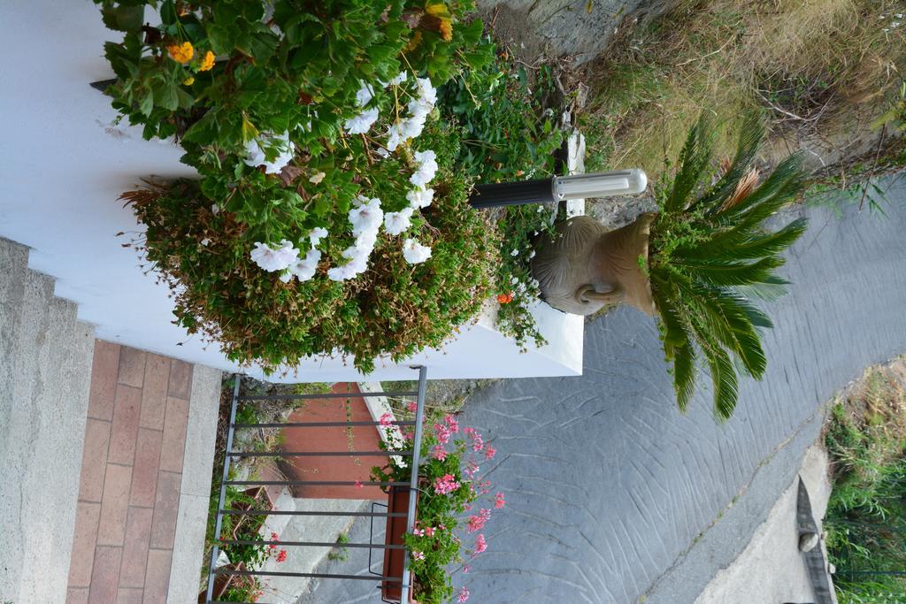 B&B La Casa Rossa Paola Esterno foto